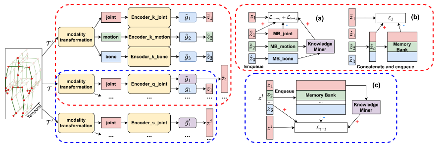 Elevating Skeleton-Based Action Recognition with Efficient Multi-Modality Self-Supervision